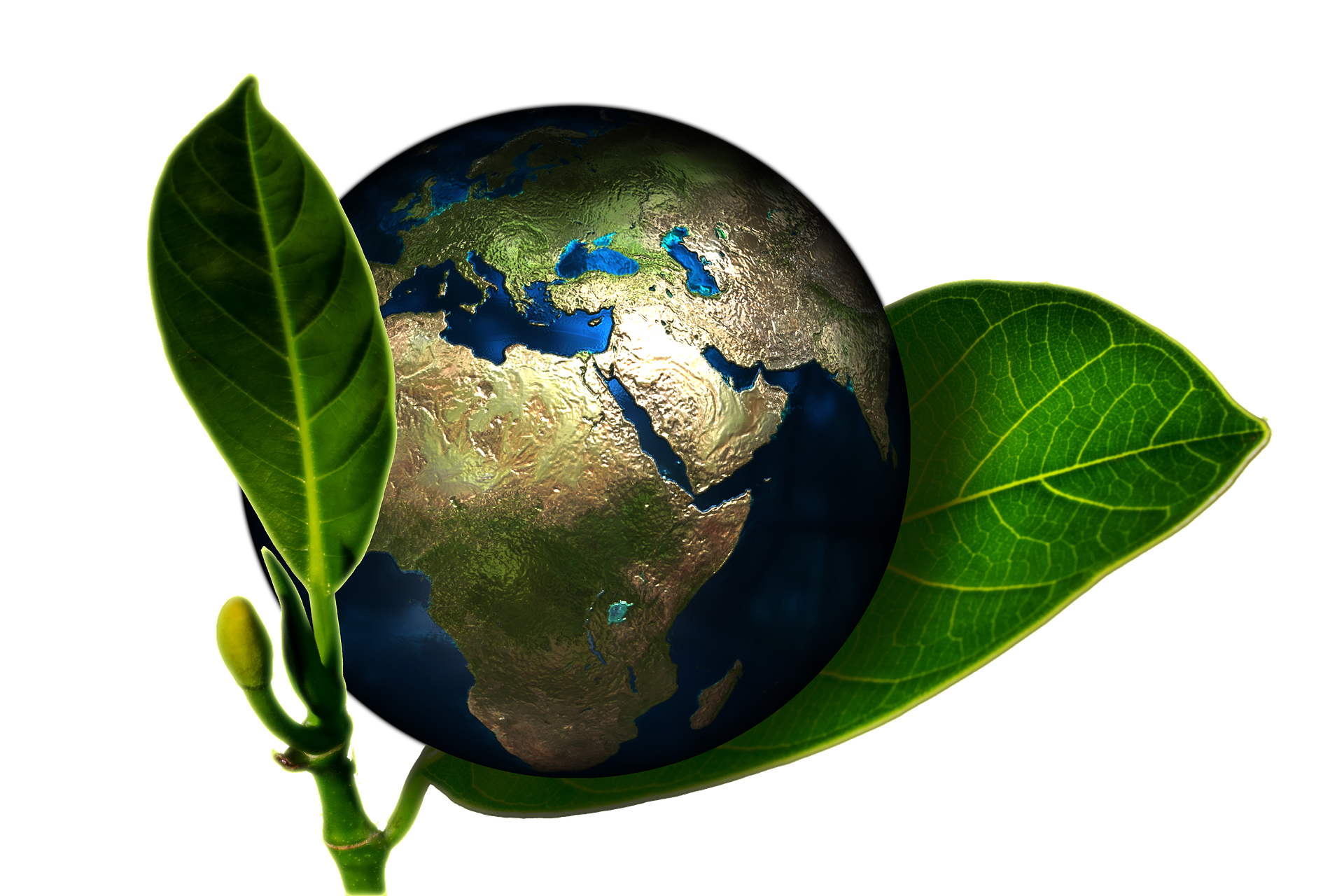 earth earth